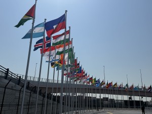 IMG_8447