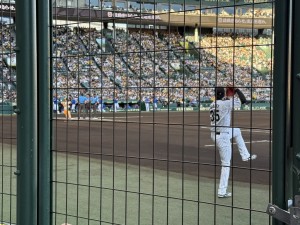 IMG_9274